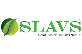 slavs-logo