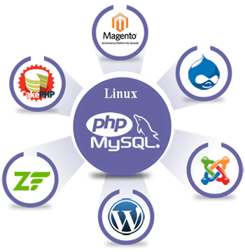 software development